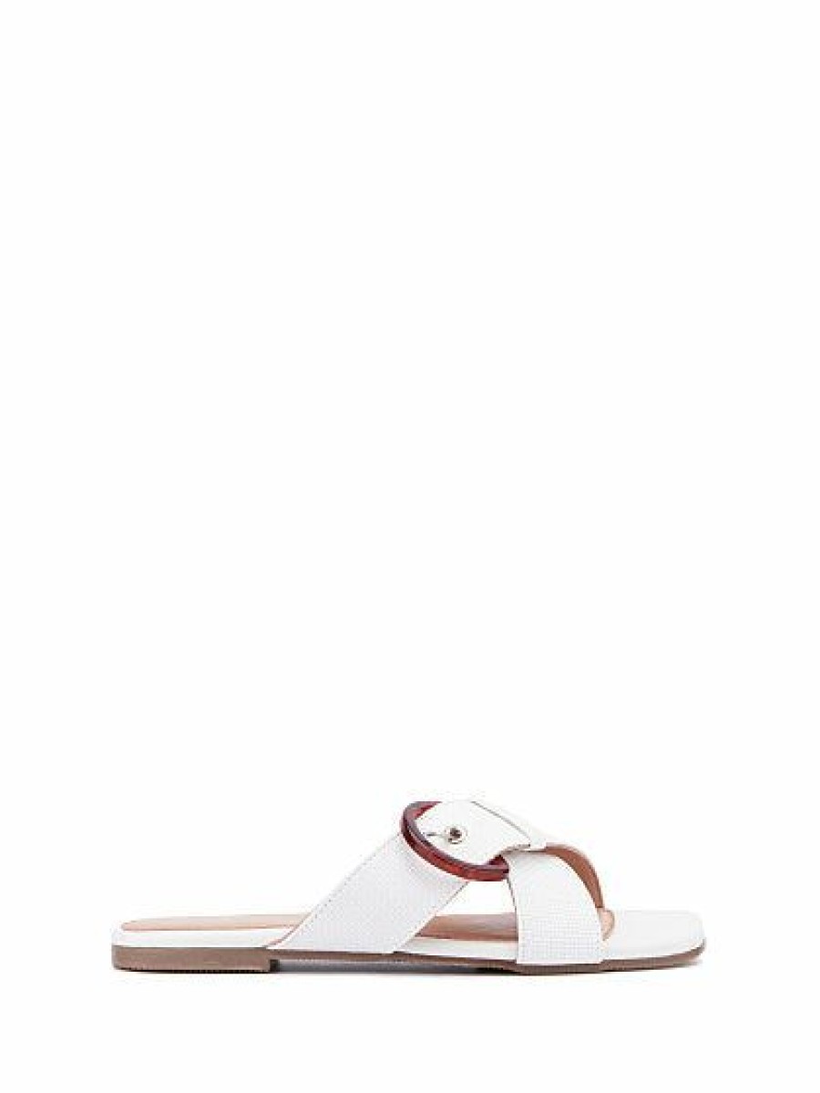 Sandals * | New York & Company Criss-Cross Buckle Flat Sandal