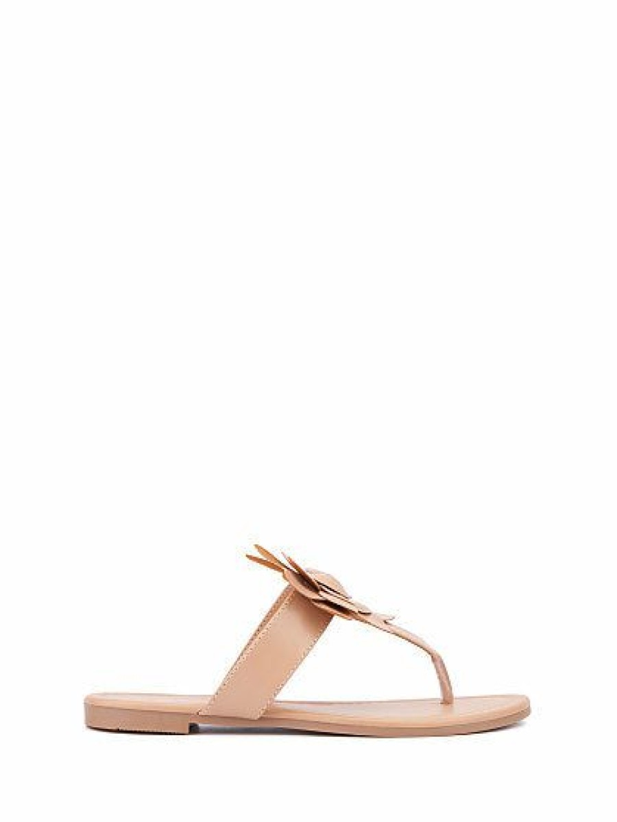 Sandals * | New York & Company T-Strap Single-Flower Flip-Flop Sandal